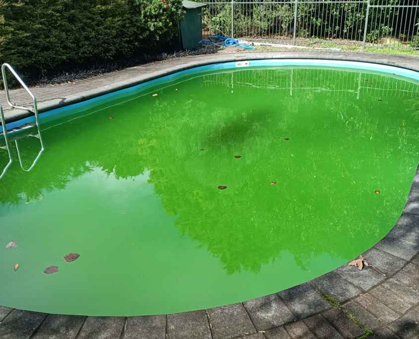green pool treatment