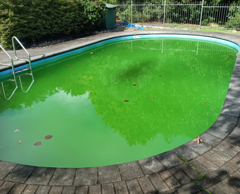 Green Pool <br>Treatment green pool without treatment