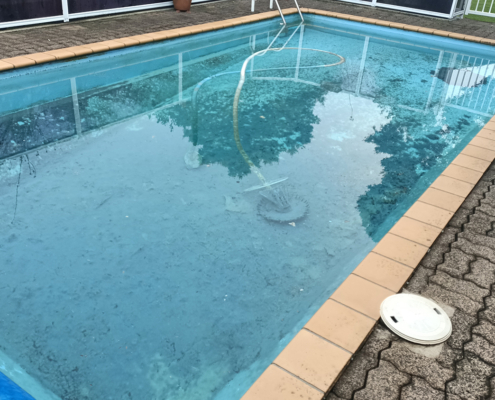 Pukka Pools Green Pool | Before
